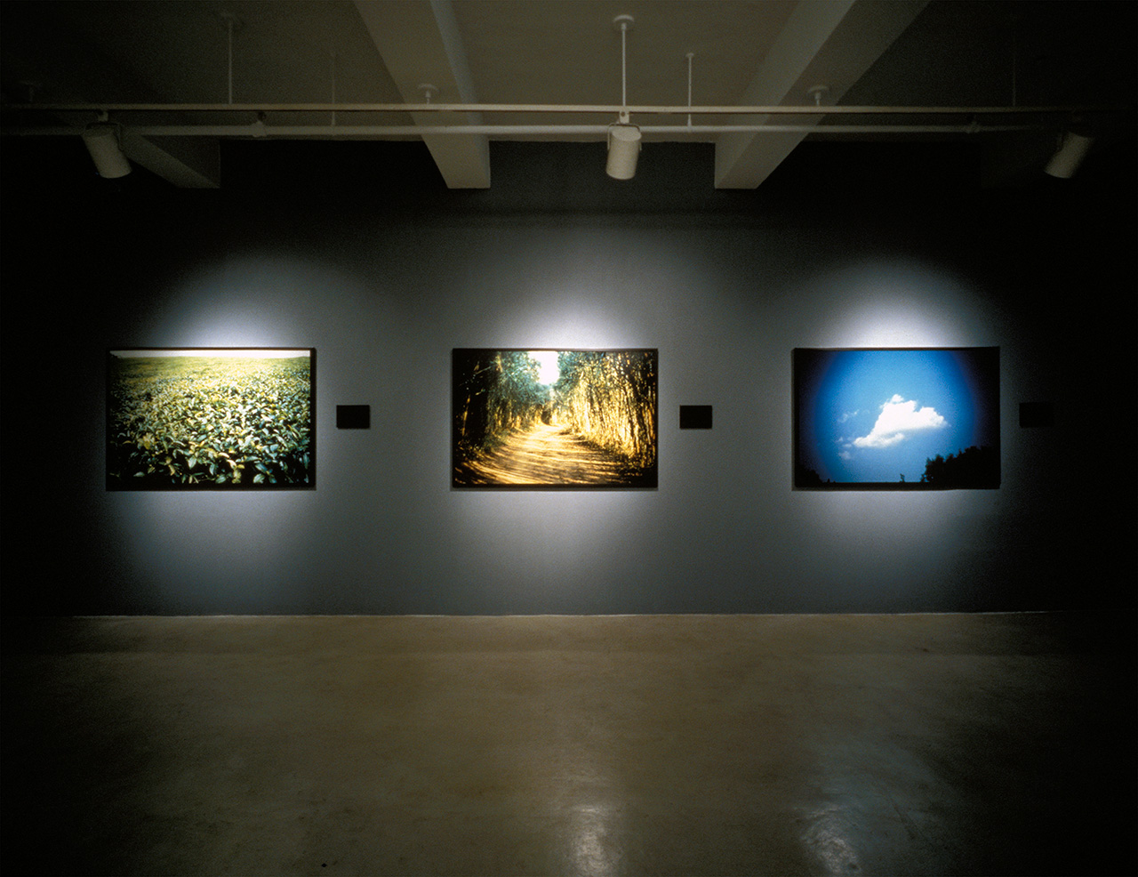Out of Photographers アウフォト　1997年年-1999年 LINK” 20471120 fall 1998 photographed by Masashi Ohashi for