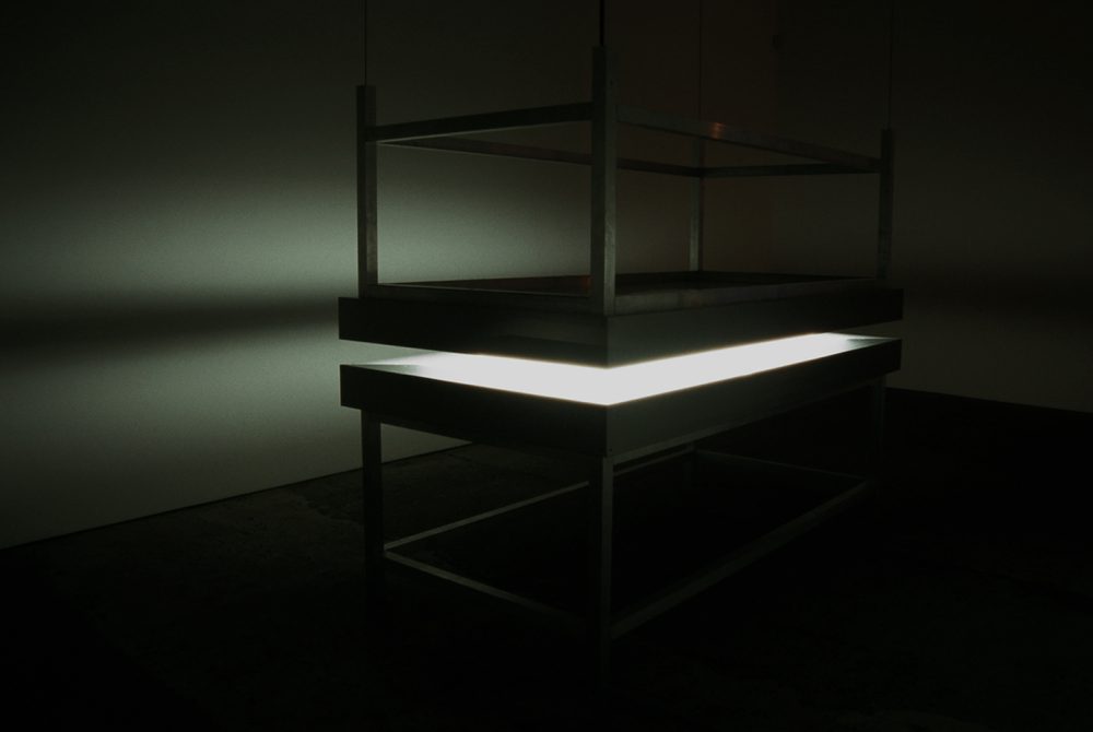 Lament of the Images Alfredo Jaar