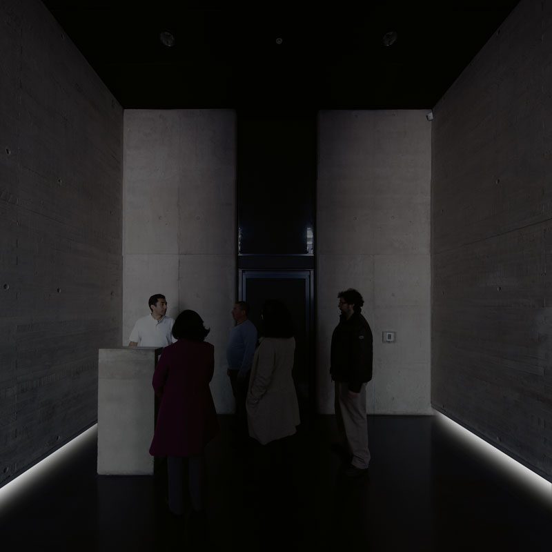 The Geometry of Conscience Alfredo Jaar