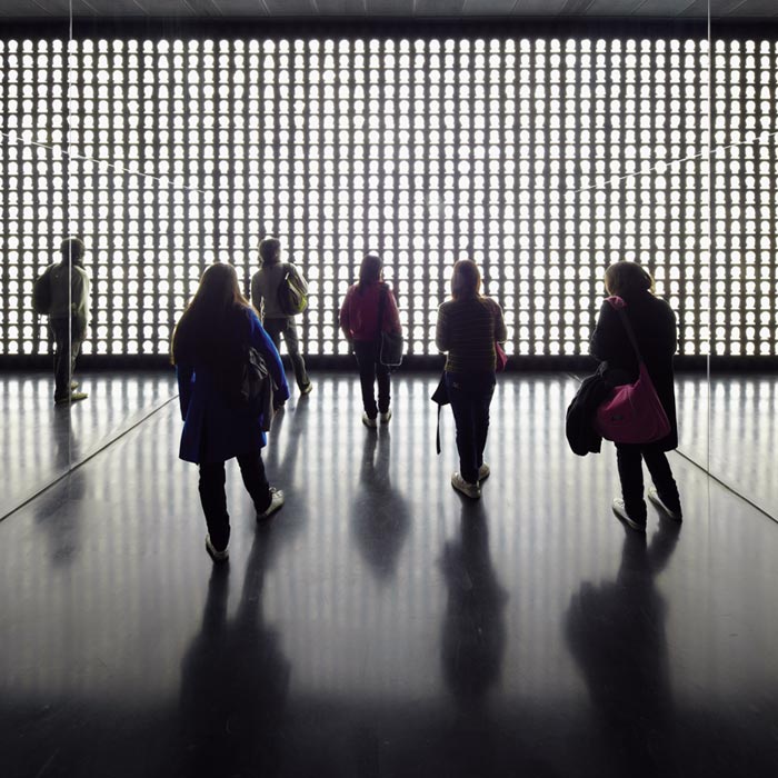 The Geometry of Conscience Alfredo Jaar