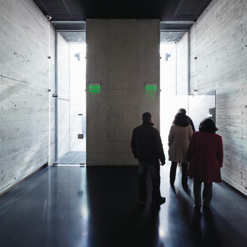 The Geometry of Conscience Alfredo Jaar