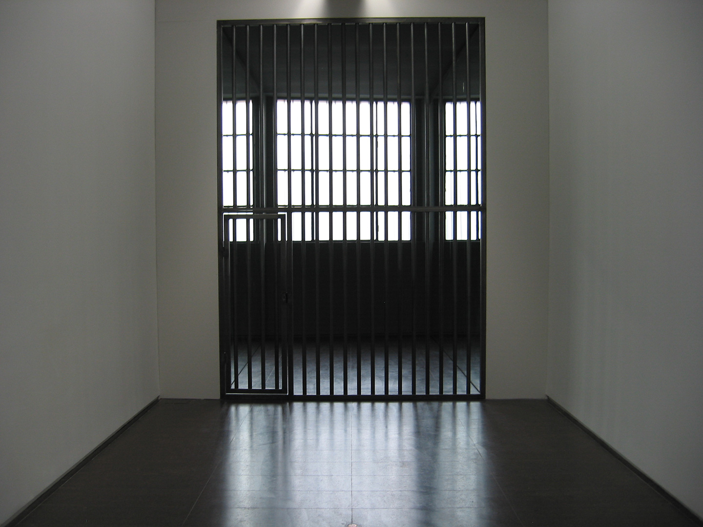 cell001-copy