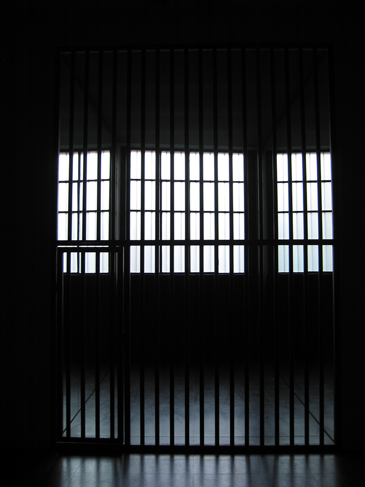 cell002-copy