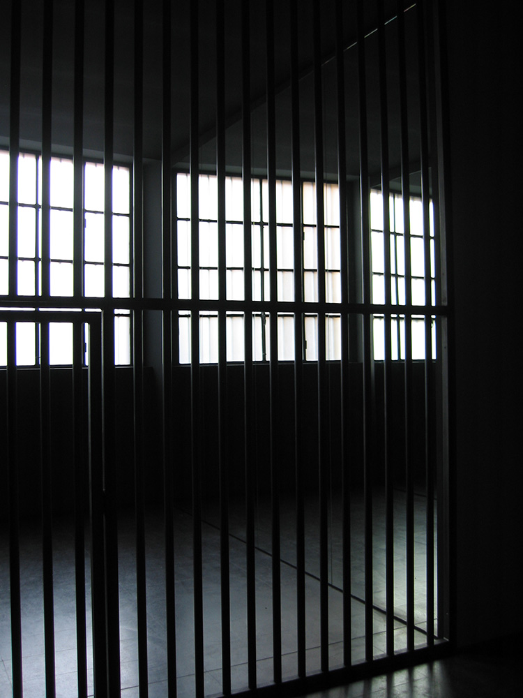cell003-copy