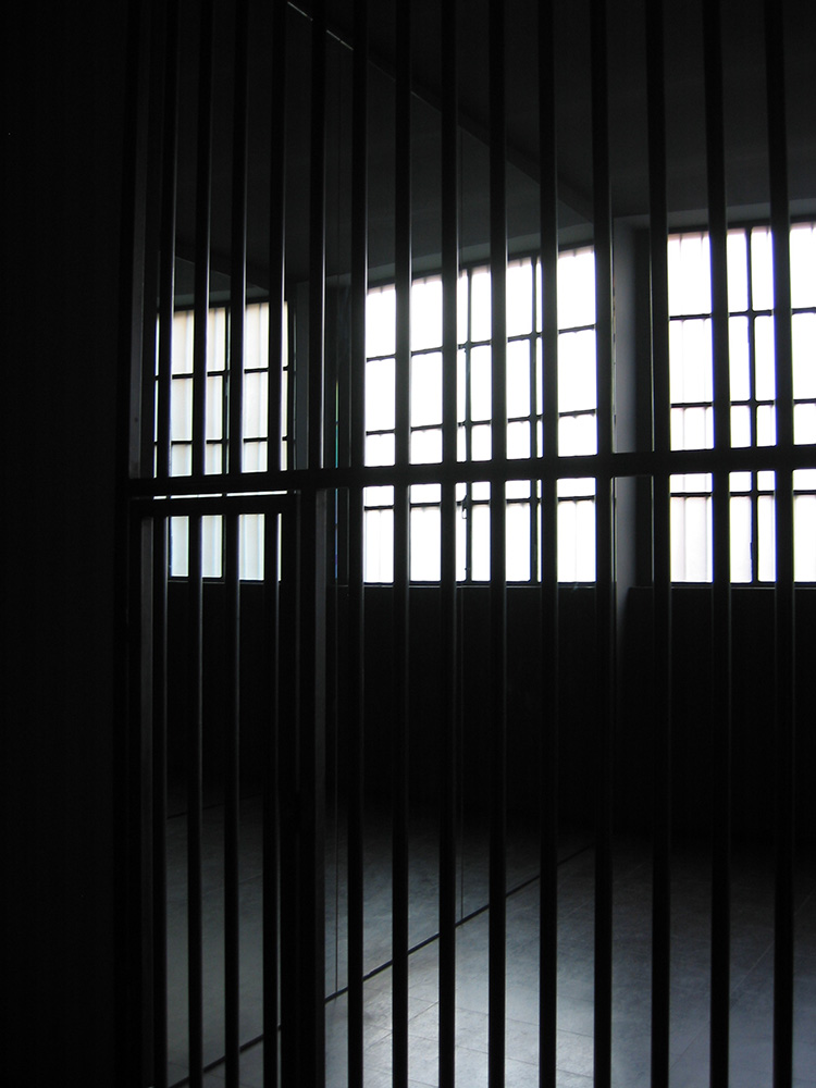 cell004-copy