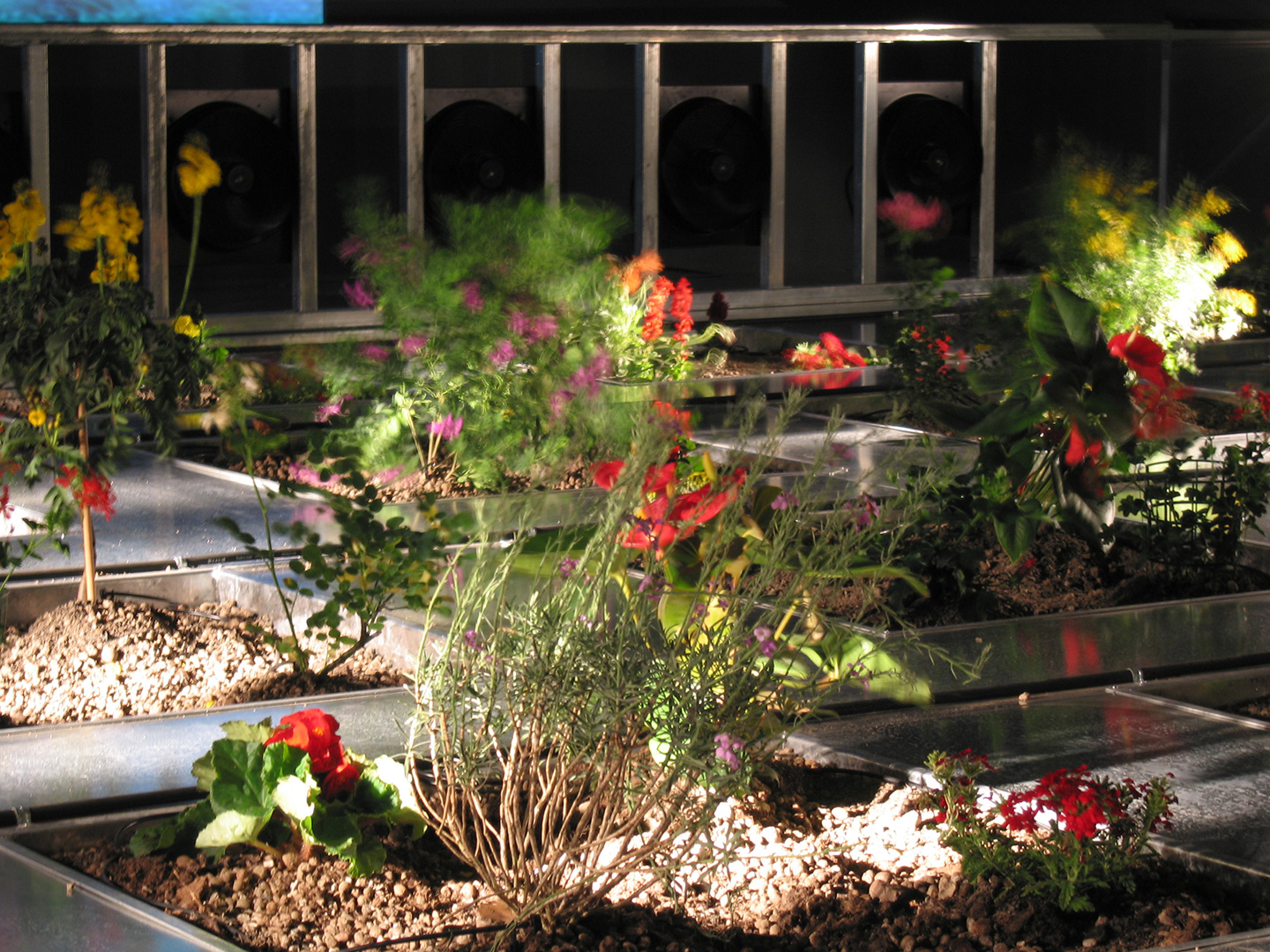 Let One Hundred Flowers Bloom Alfredo Jaar