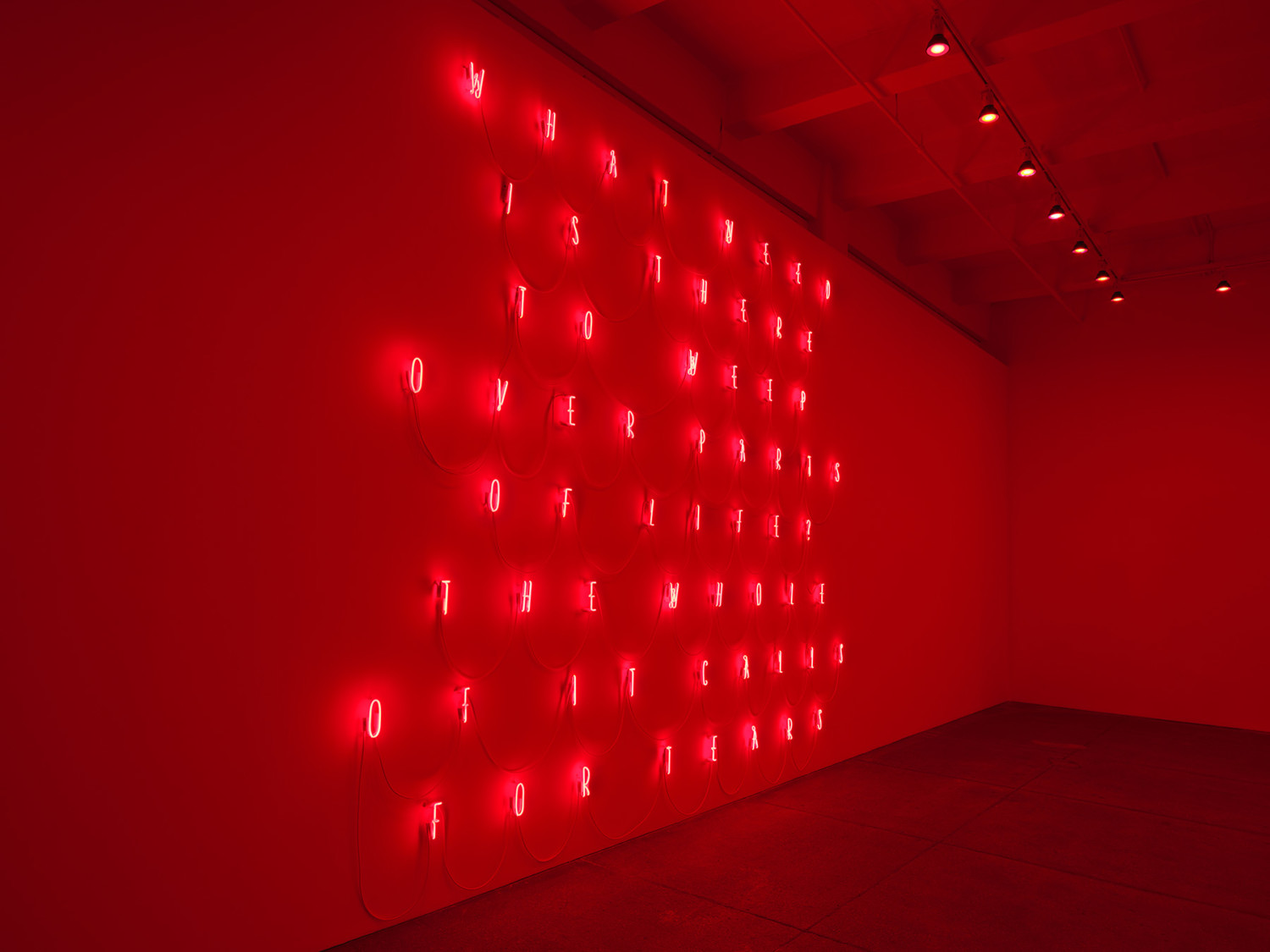 THE TEMPTATION TO EXIST, NEW YORK Alfredo Jaar