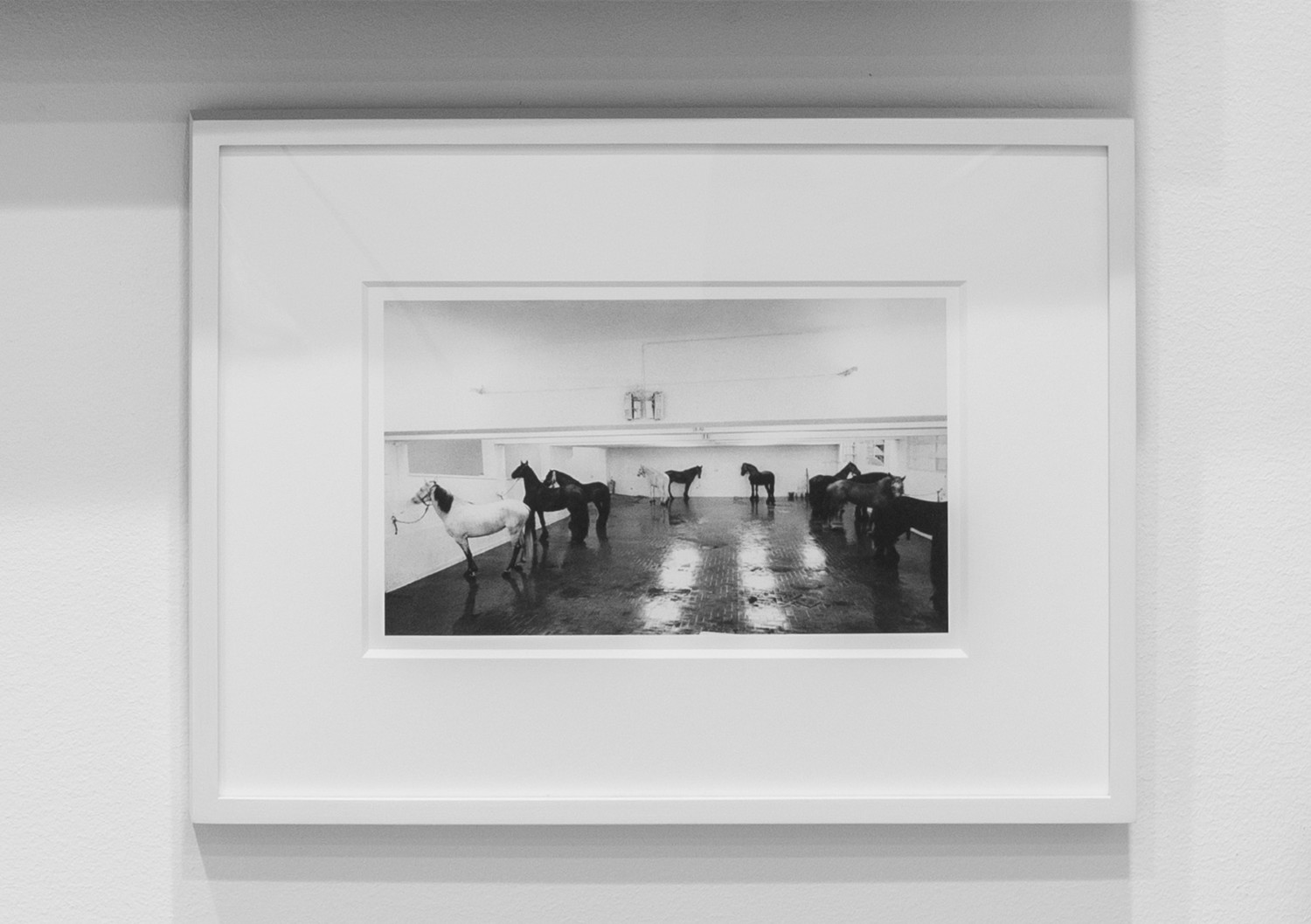 THE TEMPTATION TO EXIST, NEW YORK Alfredo Jaar