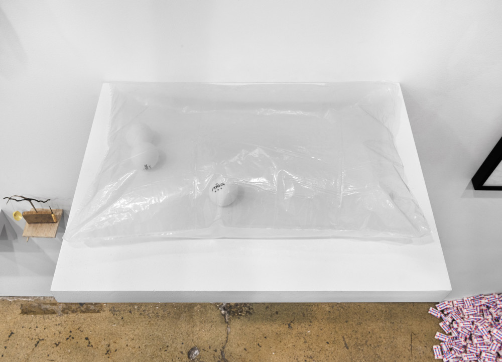 THE TEMPTATION TO EXIST, NEW YORK Alfredo Jaar