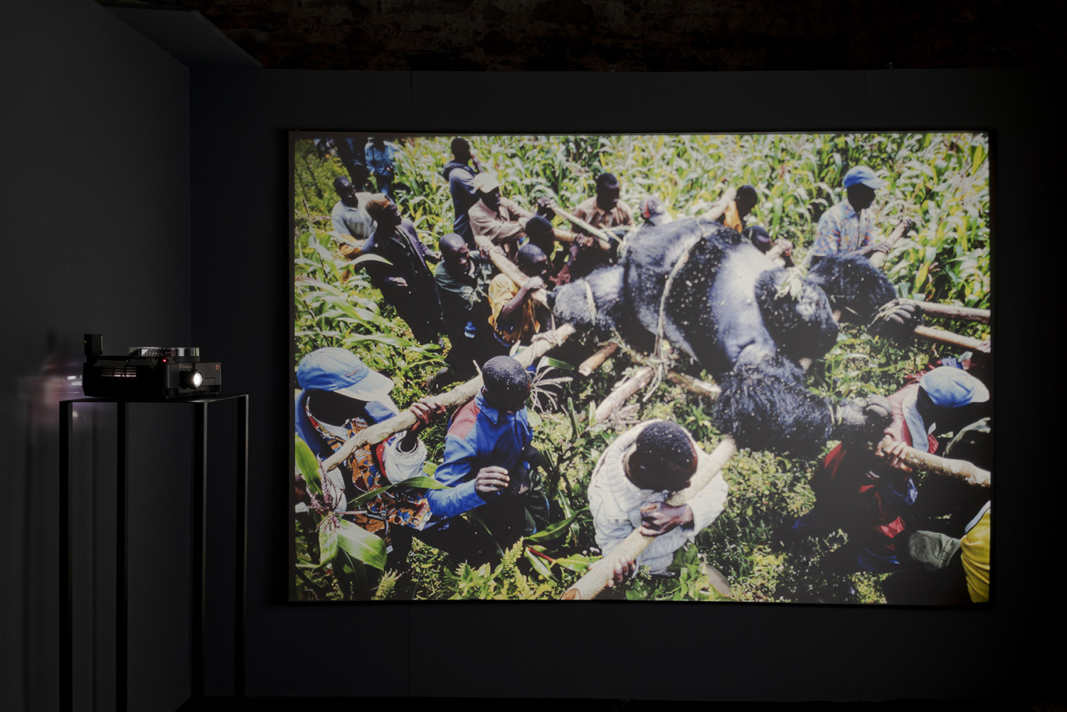 AJ_Inferno&Paradiso040